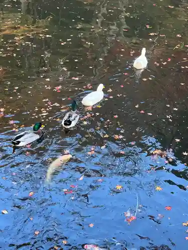 円通寺(兵庫県)