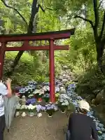 岡寺(龍蓋寺)(奈良県)