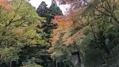 善峯寺(京都府)