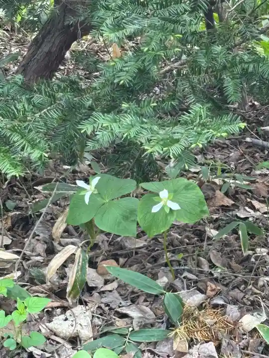 端野神社(北海道)