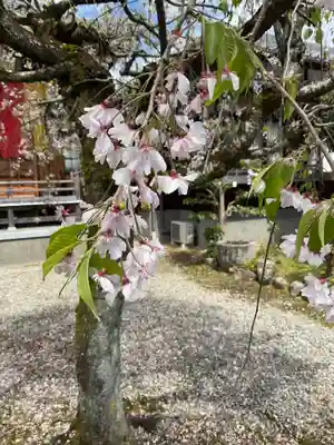 来昌寺(岐阜県)