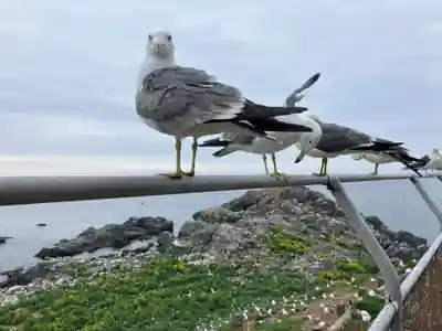 蕪嶋神社(青森県)