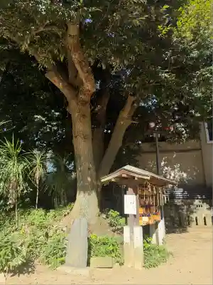 柏諏訪神社(千葉県)