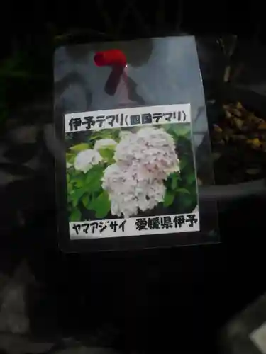 光則寺(神奈川県)