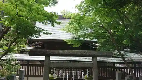 春日部八幡神社の本殿