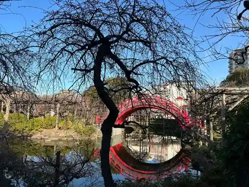 亀戸天神社(東京都)