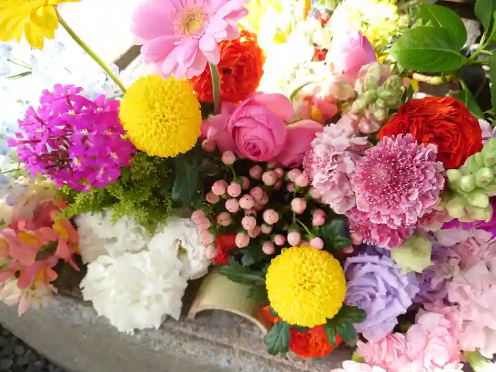 勝林寺(京都府)