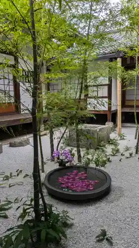 西来院(京都府)