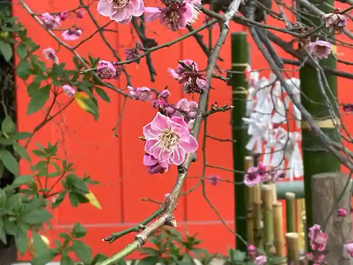 花園神社の自然