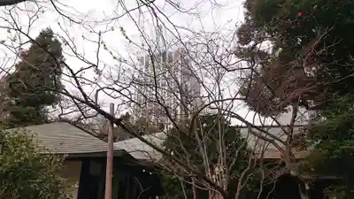 愛宕神社のその他建物