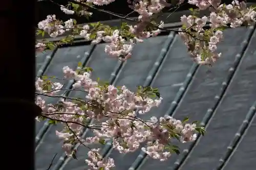 磐椅神社の自然