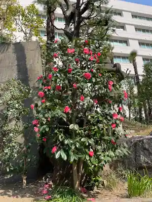 金刀比羅宮東京分社(東京都)