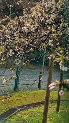 大原野神社(京都府)