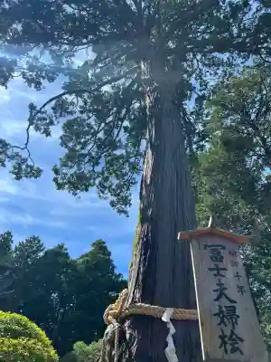 北口本宮冨士浅間神社(山梨県)