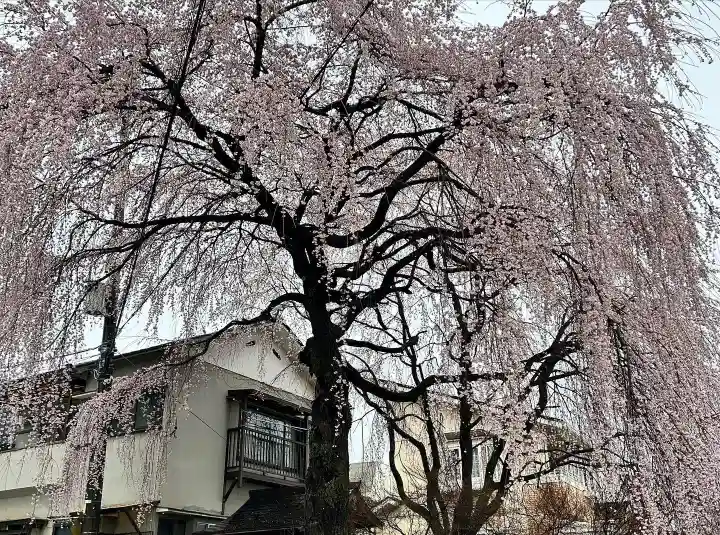 天満天神社(普門院天満宮)(長野県)