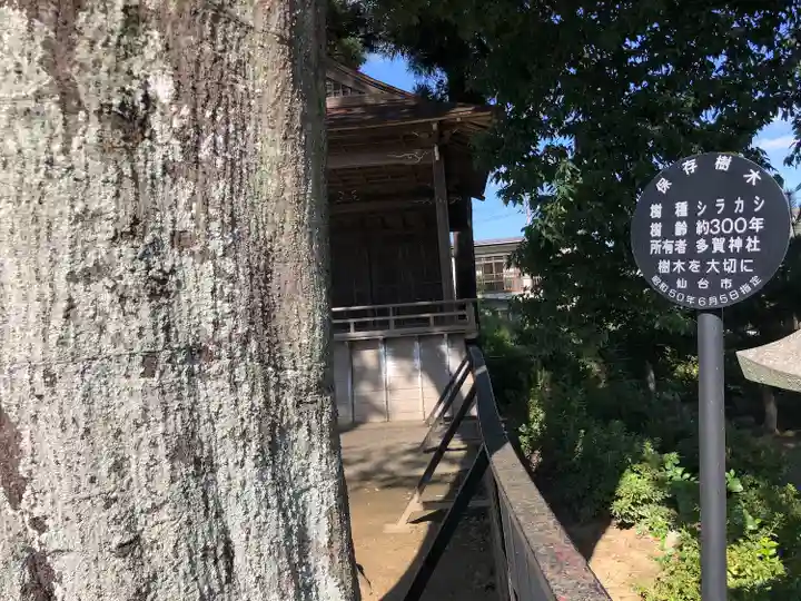 多賀神社(宮城県)