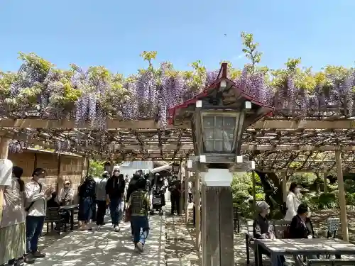 金蛇水神社の{uncategorized: "未分類", other: "その他", undefined: "問題あり", building: "その他建物", grave: "お墓", sacred_gate: "鳥居", guardian: "狛犬", statue: "像", buddha: "仏像", history: "歴史", nature: "自然", garden: "庭園", animal: "動物", pagoda: "塔", temizu: "手水舎", mountain_gate: "山門・神門", sanctuary: "本殿・本堂", subordinate: "末社・摂社", art: "芸術", scenery: "景色", jizo: "地蔵", ema: "絵馬", goshuin: "御朱印", omikuji: "おみくじ", items: "授与品その他", amulet: "お守り", goshuincho: "御朱印帳", eats: "食事", festival: "お祭り", votive_dance: "神楽", shichigosan: "七五三参", wedding: "結婚式", experience: "体験その他", initially: "初詣", around: "周辺", anti_infection: "感染症対策"}