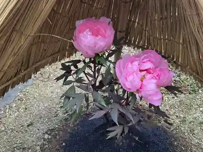 當麻寺 奥院(奈良県)