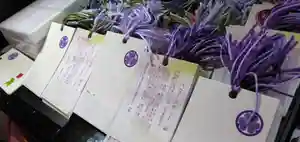 伊賀東照宮(三重県)(2023年07月01日(土) 21時46分54秒投稿)