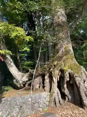 富士山東口本宮 冨士浅間神社のその他建物