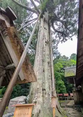 元伊勢内宮 皇大神社(京都府)