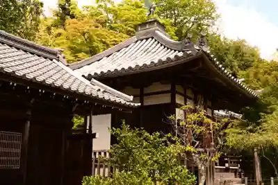 二尊院(京都府)