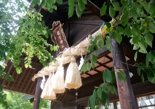 龍宮神社の本殿