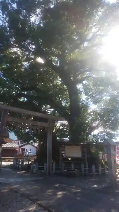 尾鷲神社(三重県)