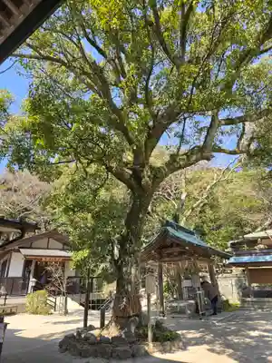 志賀海神社(福岡県)