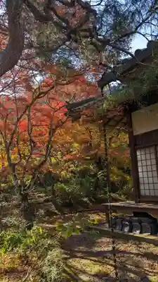 神藏寺(京都府)