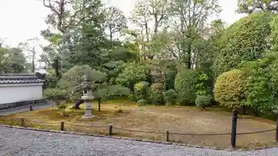 退蔵院(京都府)