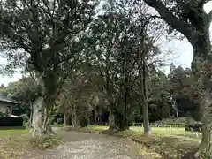 皇宮神社（宮崎神宮摂社）の自然