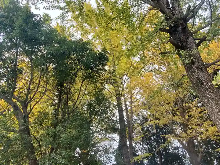 川北神社の自然