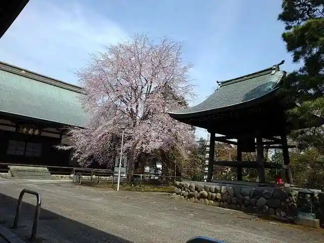 南養寺の庭園