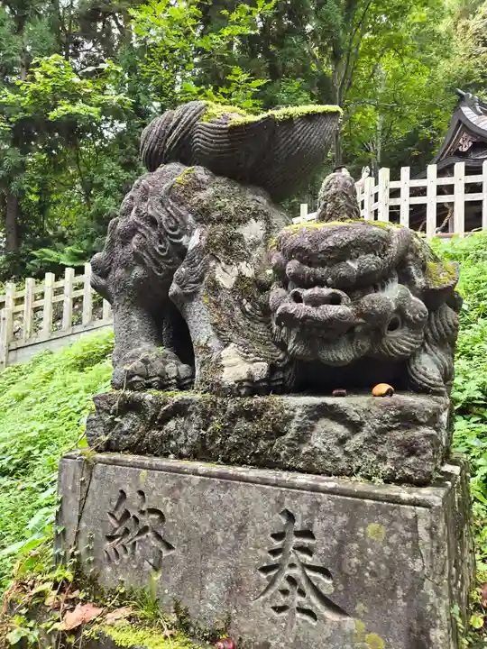 戸隠神社奥社(長野県)