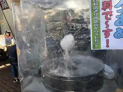 猿楽神社の食事