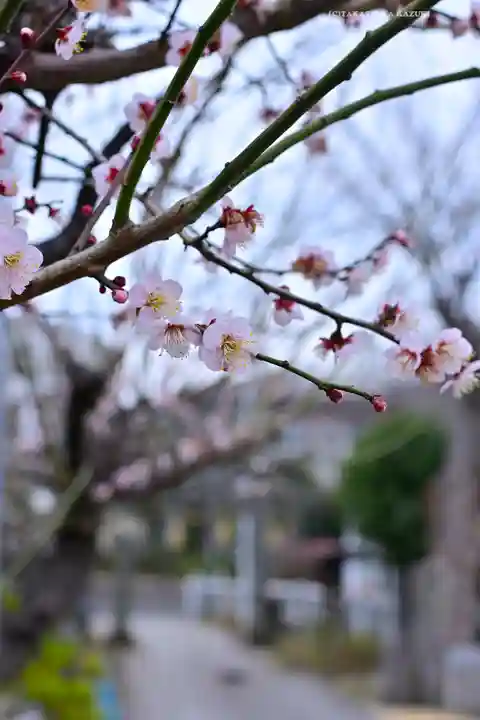 永谷天満宮(神奈川県)
