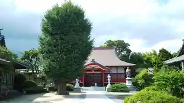 本成寺の本殿・本堂