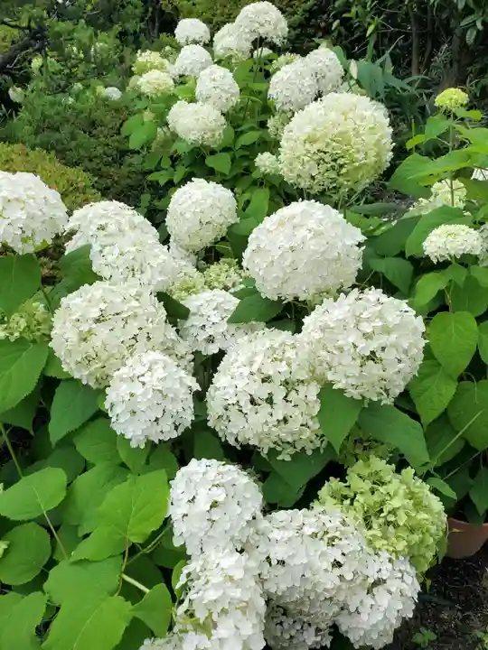 豊景神社(福島県)