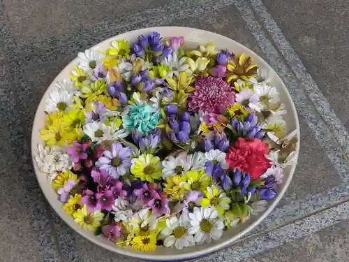 徳星寺(埼玉県)