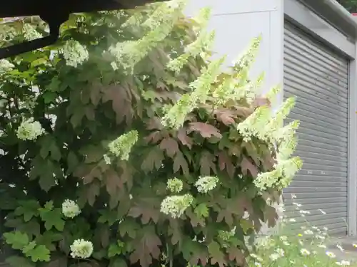 龍泉寺(神奈川県)