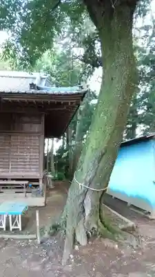 竹原神社の本殿・本堂