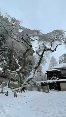 転法輪寺のその他建物