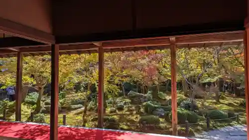 圓光寺(京都府)