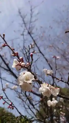相馬神社(北海道)