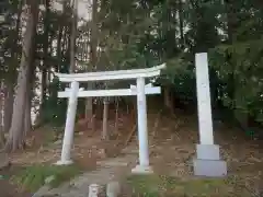 丸山稲荷大明神の鳥居