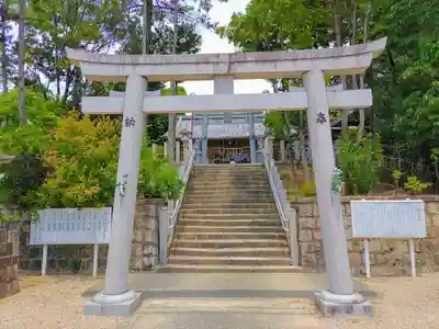 白山神社（小幡）の鳥居