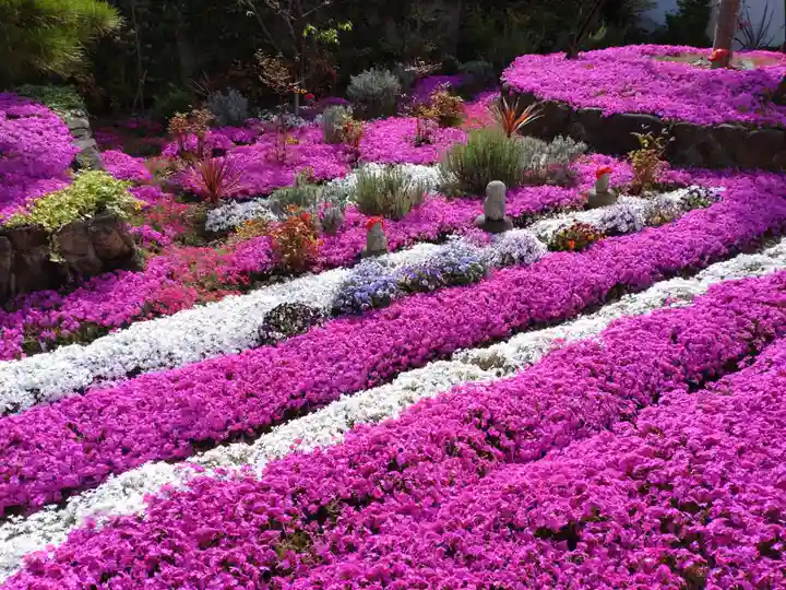 寿量山 速成寺の自然