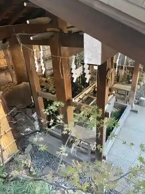 東京大神宮の手水舎