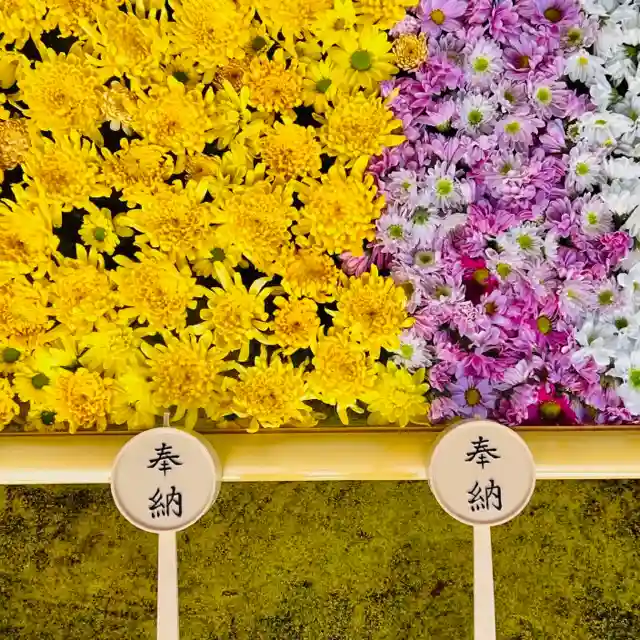 土津神社|こどもと出世の神さまの手水舎